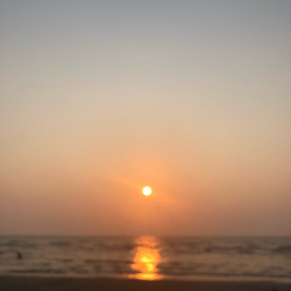 Meet your Posher, Sabrina - Picture 1 of 1